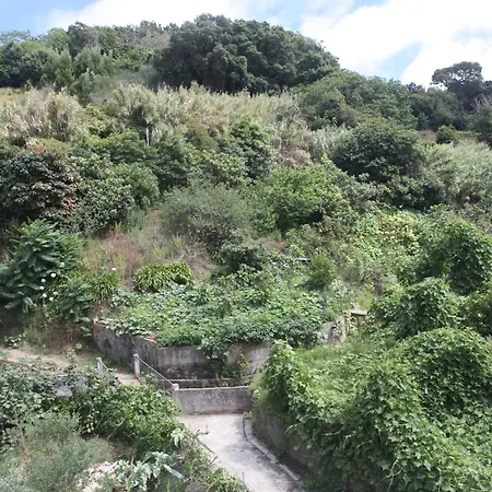 Ribeira Dos Marinheiros Agua Colares