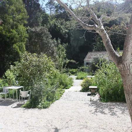 Ribeira Dos Marinheiros Agua Colares